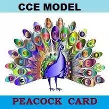 THE PEACOCK MODEL